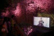 BLEACH THE NIGHT WALK WARFARE ギャラリー